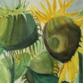 Sonnenbl7