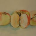 Aquarell-Aepfel