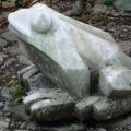 Frosch
